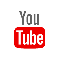 Video Fieber, Standard Vinyl Edition